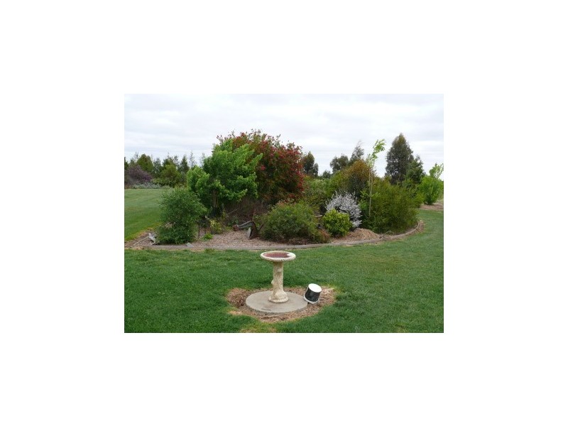 894 Cobb Highway, Moama NSW 2731