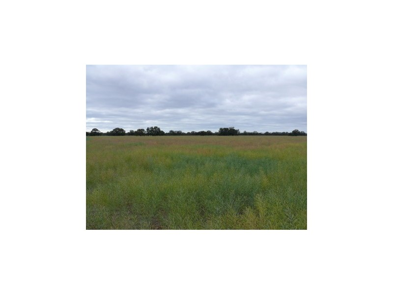 894 Cobb Highway, Moama NSW 2731