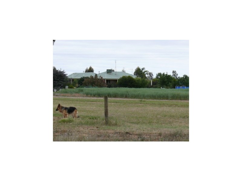 894 Cobb Highway, Moama NSW 2731