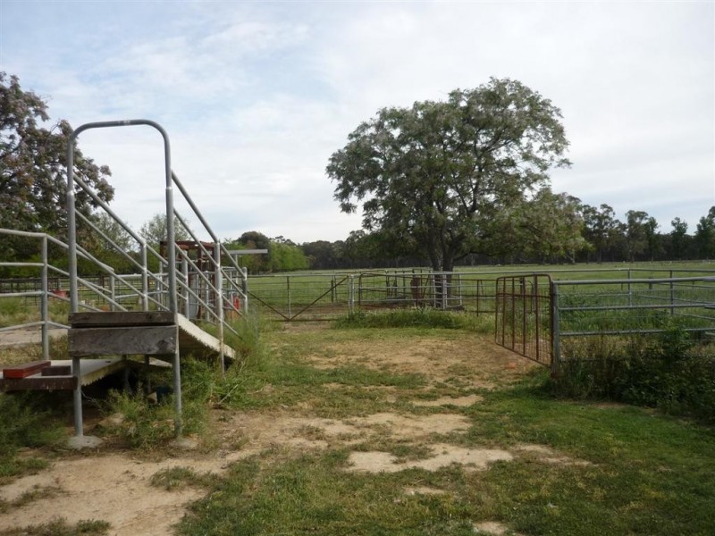 39 Tickell Road, Leitchville VIC 3567