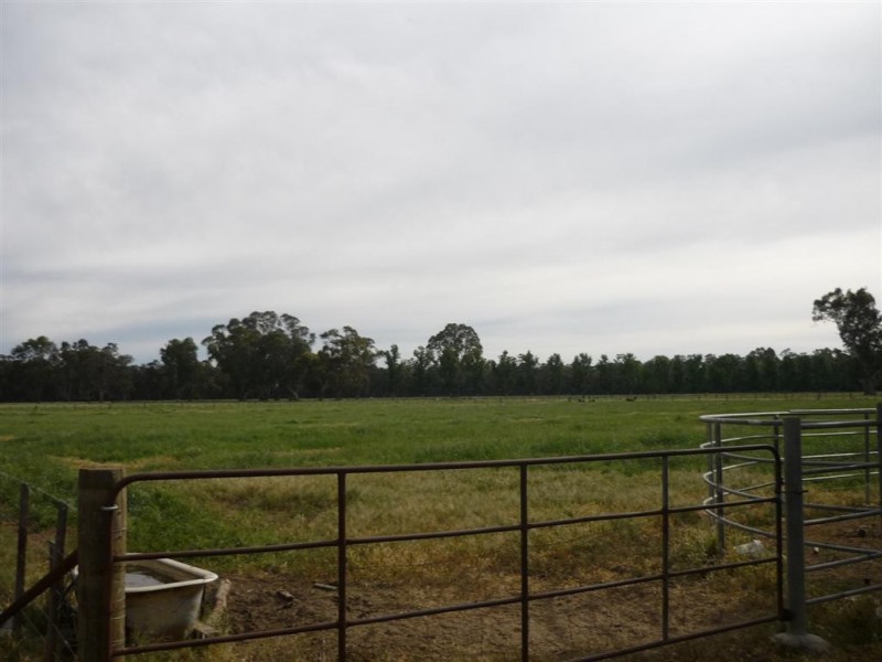 39 Tickell Road, Leitchville VIC 3567