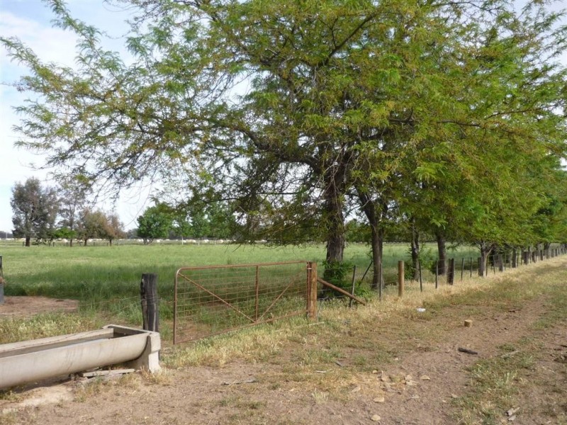 39 Tickell Road, Leitchville VIC 3567