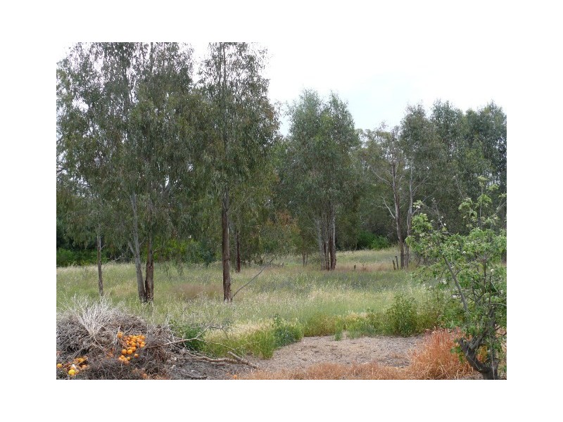 73 McKenzie, Echuca VIC 3564
