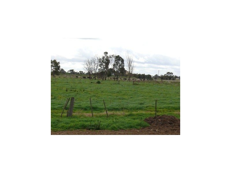 1816 Matheson Road, Tongala VIC 3621