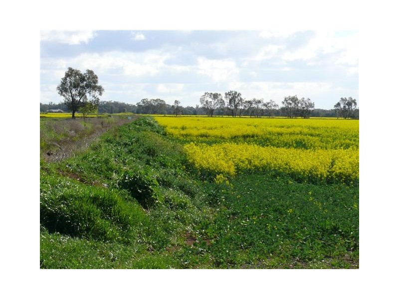 1462 Echuca-Nanneella Road, Echuca VIC 3564