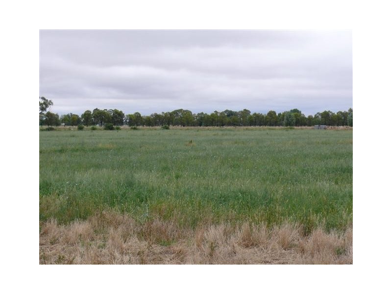 300 Mitchell Road, Echuca Village VIC 3564