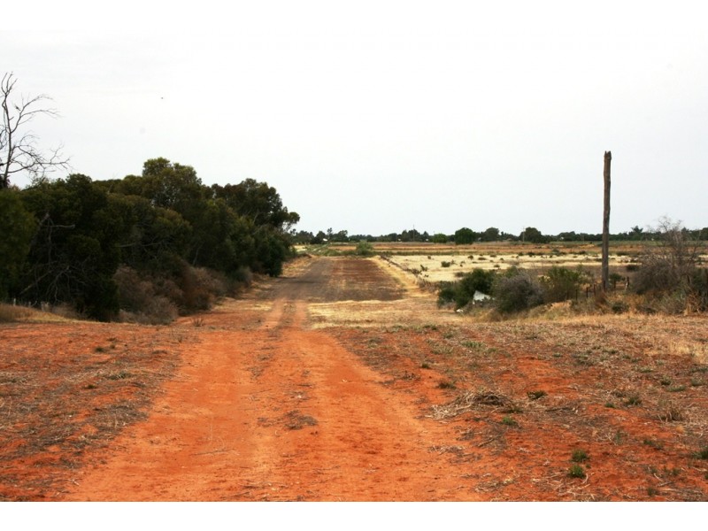 157 Werril Street, Swan Hill VIC 3585