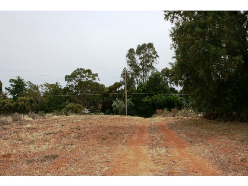 157 Werril Street, Swan Hill VIC 3585