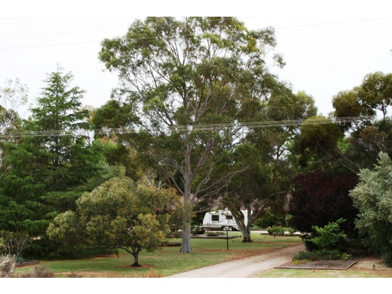 157 Werril Street, Swan Hill VIC 3585