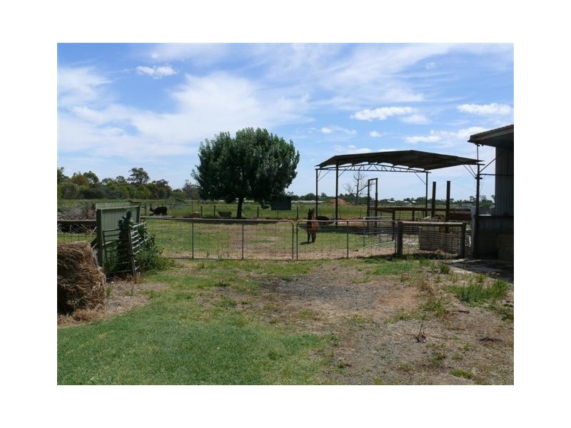 6388 Murray-Valley Highway, Echuca VIC 3564