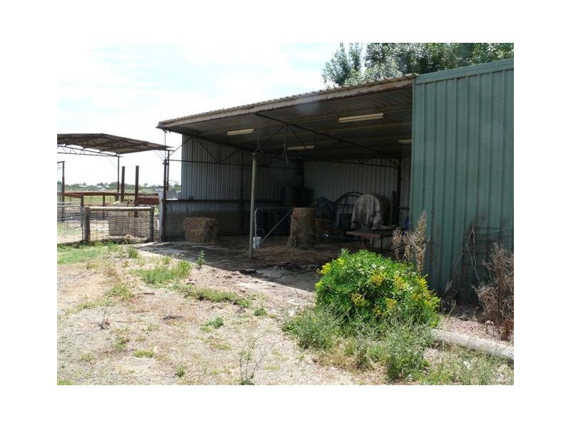 6388 Murray-Valley Highway, Echuca VIC 3564