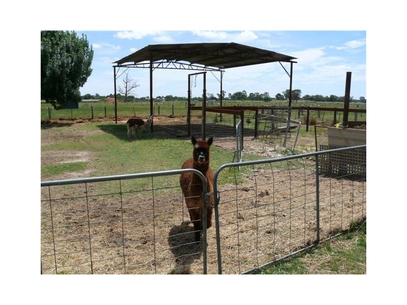 6388 Murray-Valley Highway, Echuca VIC 3564
