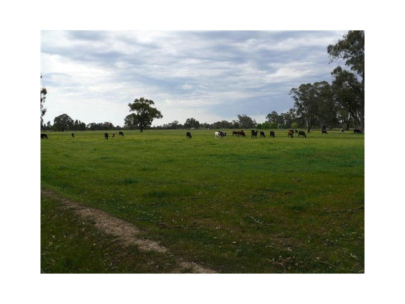 Echuca Village VIC 3564