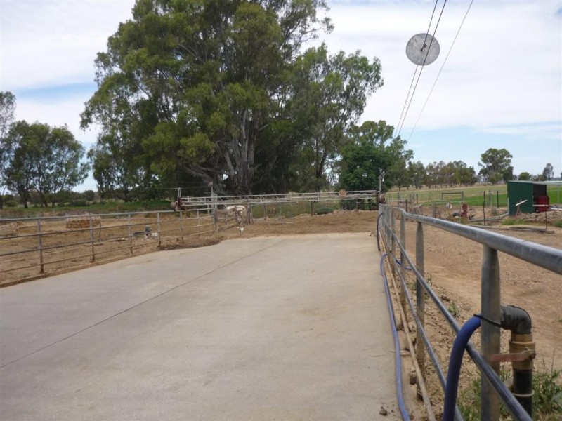 32 Ahern Road, Koondrook VIC 3580