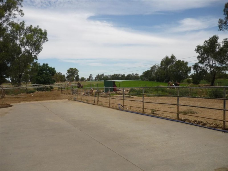 32 Ahern Road, Koondrook VIC 3580