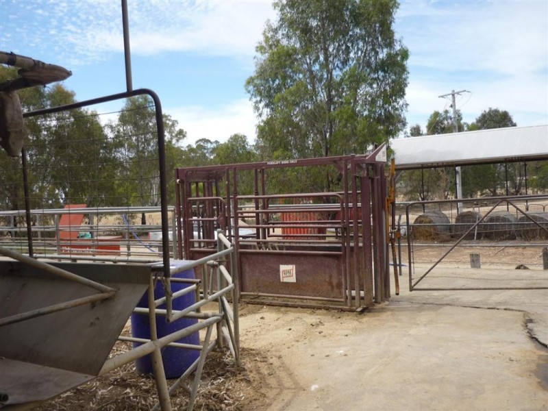 32 Ahern Road, Koondrook VIC 3580