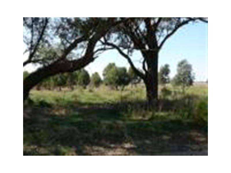 100 Tandarra Lane, Moama NSW 2731