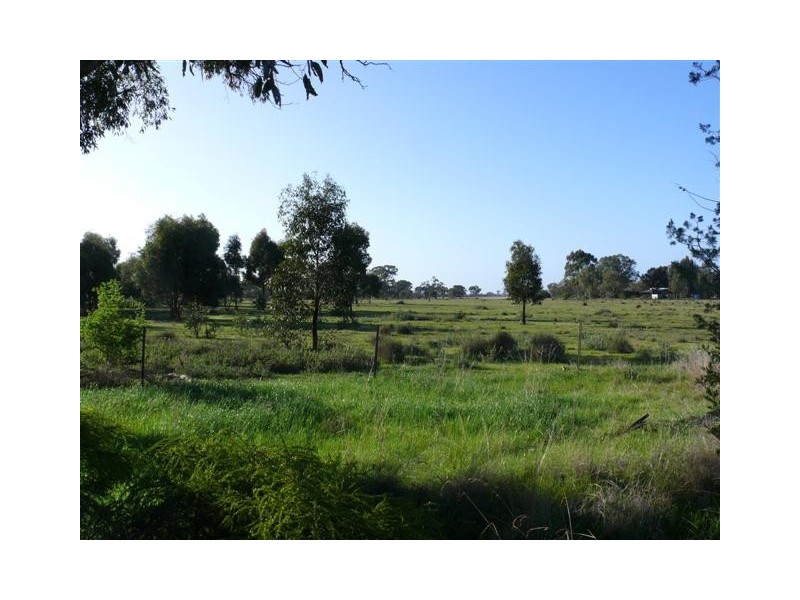 100 Tandarra Lane, Moama NSW 2731