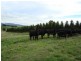 Kilmore VIC 3764