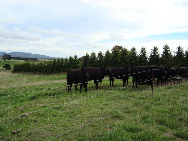 Kilmore VIC 3764