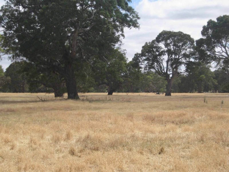 1 Muirhead Rd, Willaura VIC 3379