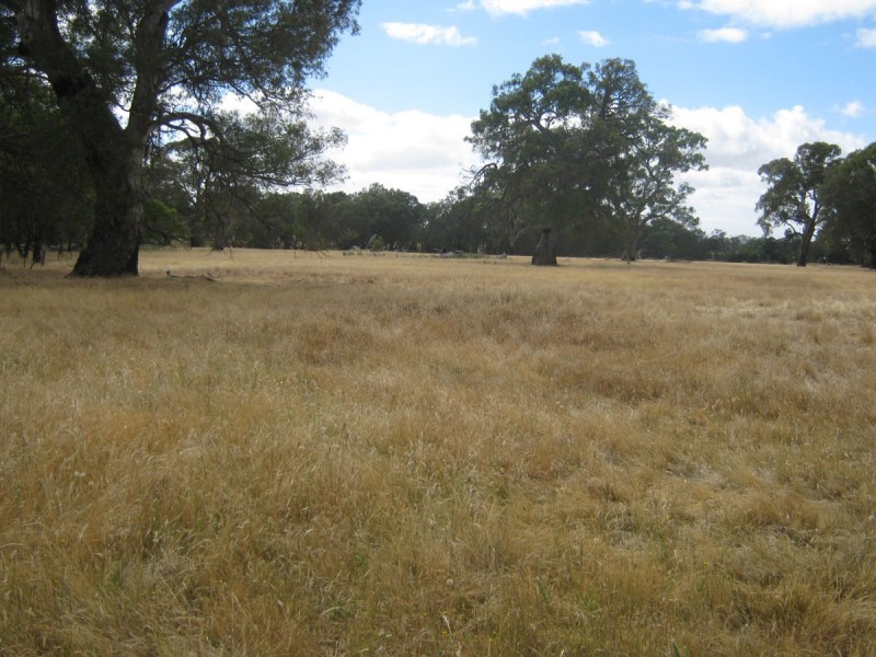 1 Muirhead Rd, Willaura VIC 3379