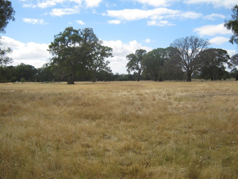 1 Muirhead Rd, Willaura VIC 3379