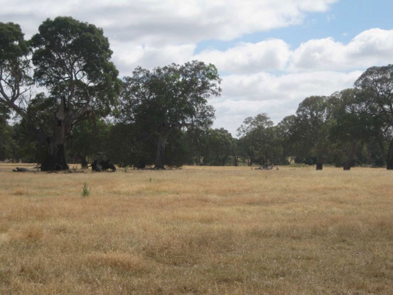 1 Muirhead Rd, Willaura VIC 3379