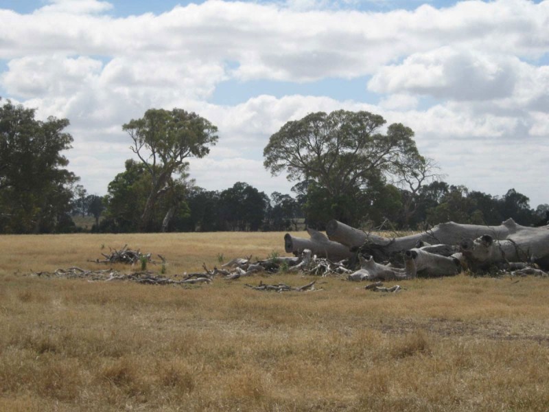 1 Muirhead Rd, Willaura VIC 3379