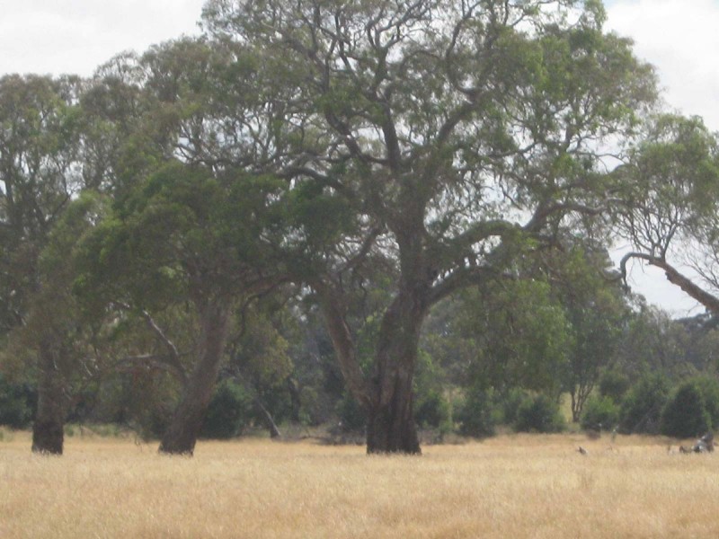 1 Muirhead Rd, Willaura VIC 3379