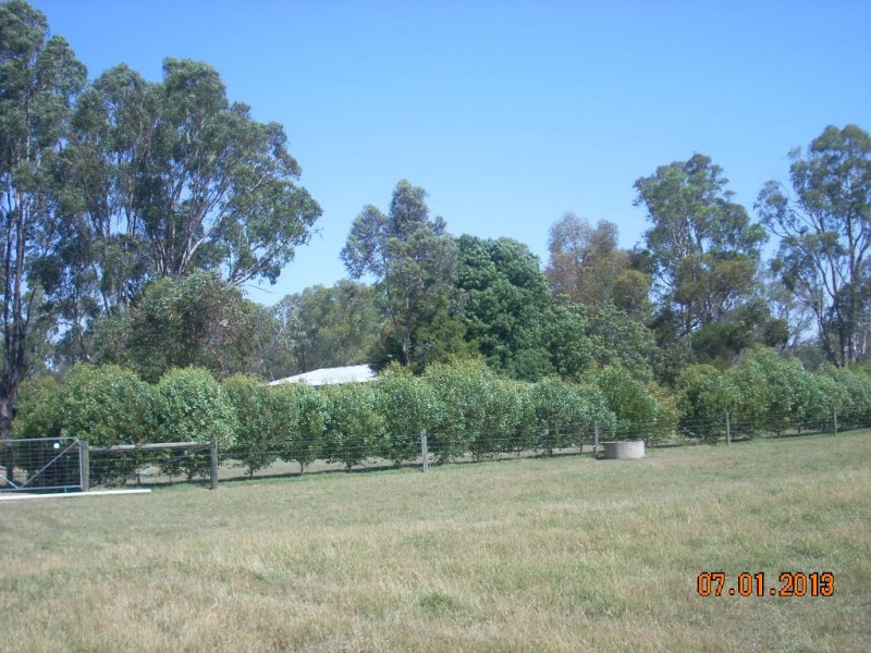 450 Murrabit West Road, Murrabit West VIC 3579
