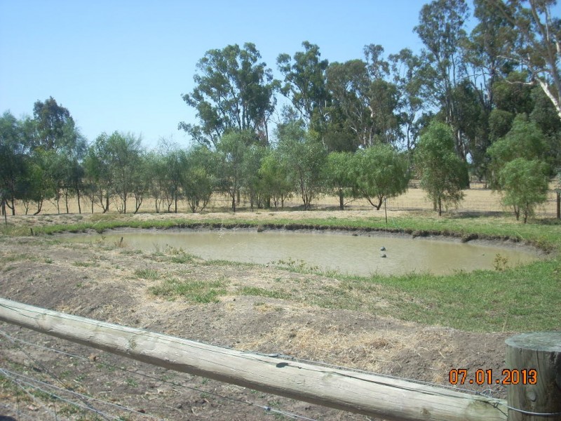 450 Murrabit West Road, Murrabit West VIC 3579