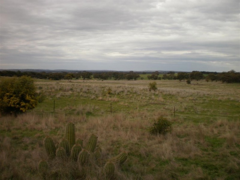 Slaty Creek VIC 3478