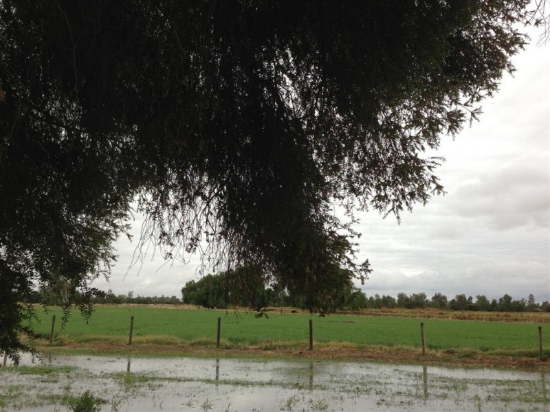 307 Kervins Road, Cohuna VIC 3568