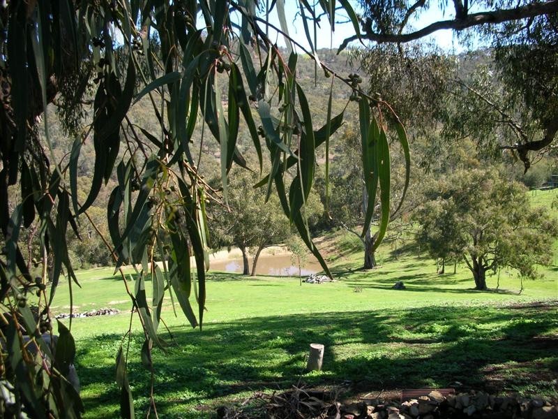 41 Joe Taylor Rise, Eildon VIC 3713