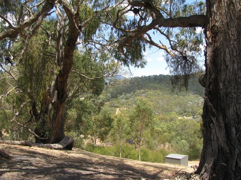 41 Joe Taylor Rise, Eildon VIC 3713