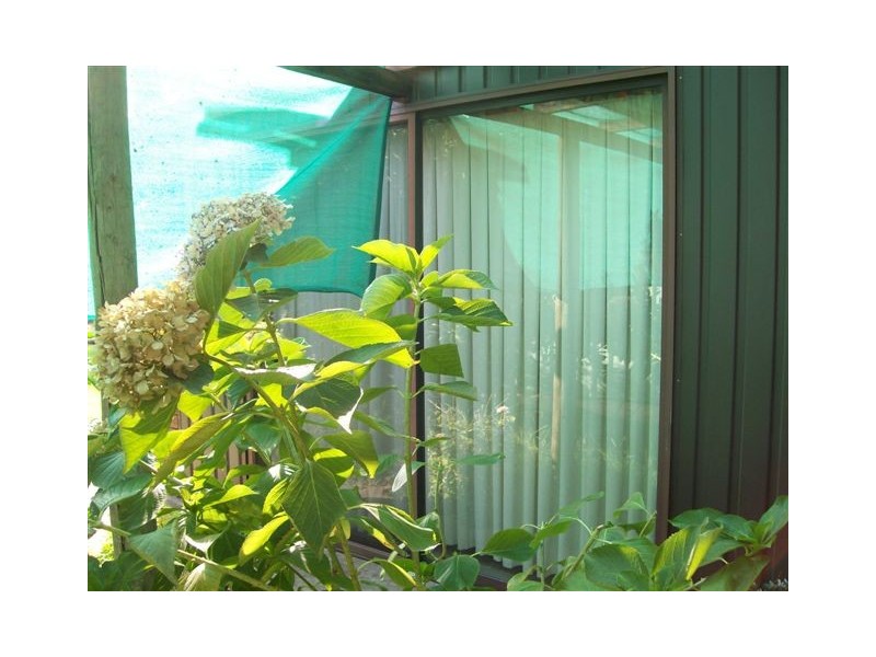 61 Barooga St, Berrigan NSW 2712