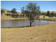 Delhaven Hells Hole Creek Road, Bonnie Doon VIC 3720
