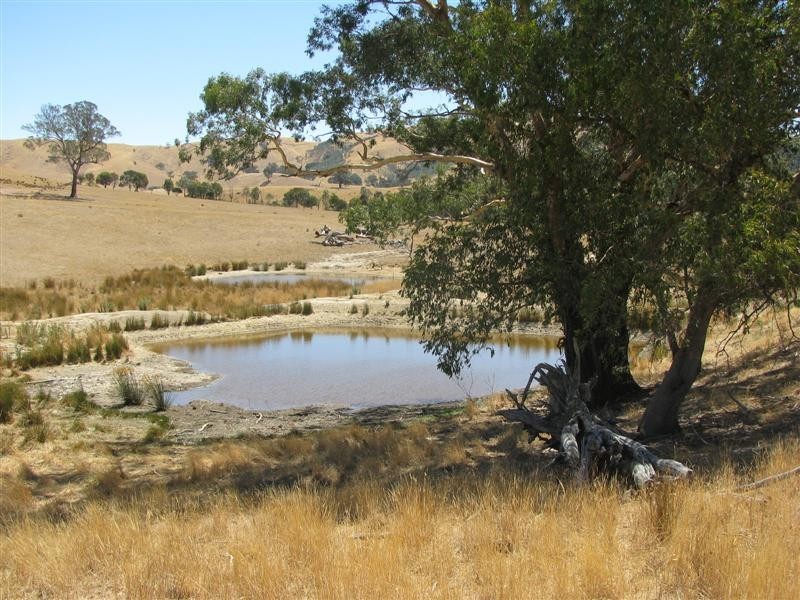 Delhaven Hells Hole Creek Road, Bonnie Doon VIC 3720