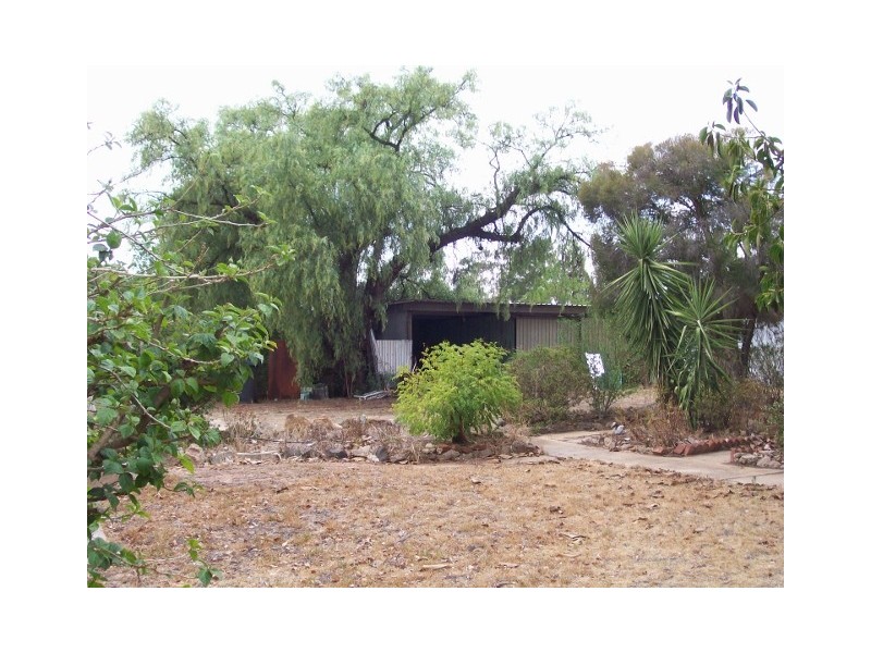 62 Buller St, Oaklands NSW 2646