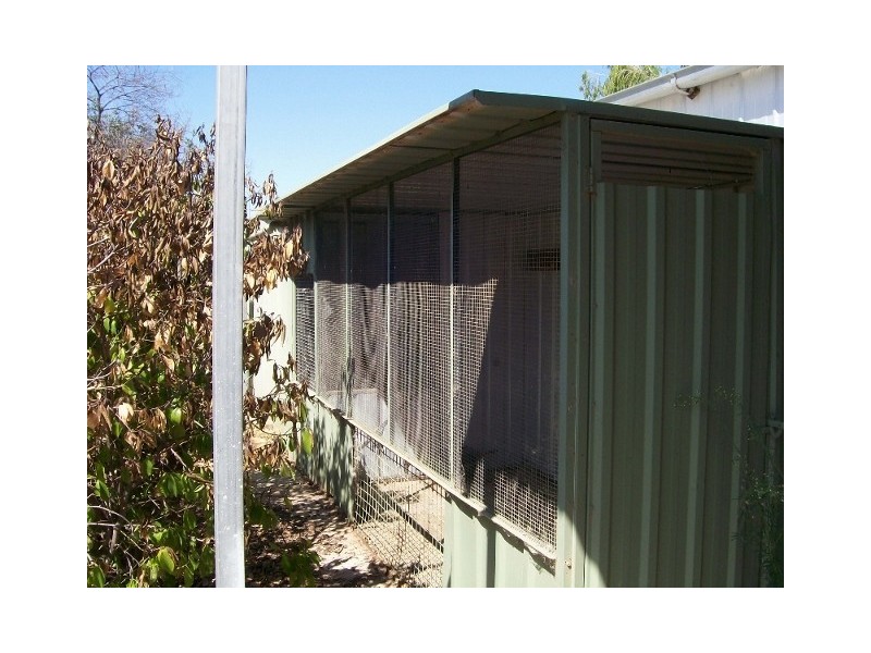 13 Robertson St, Berrigan NSW 2712