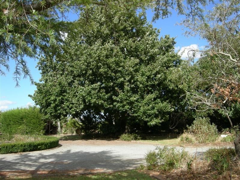 Koo Wee Rup VIC 3981