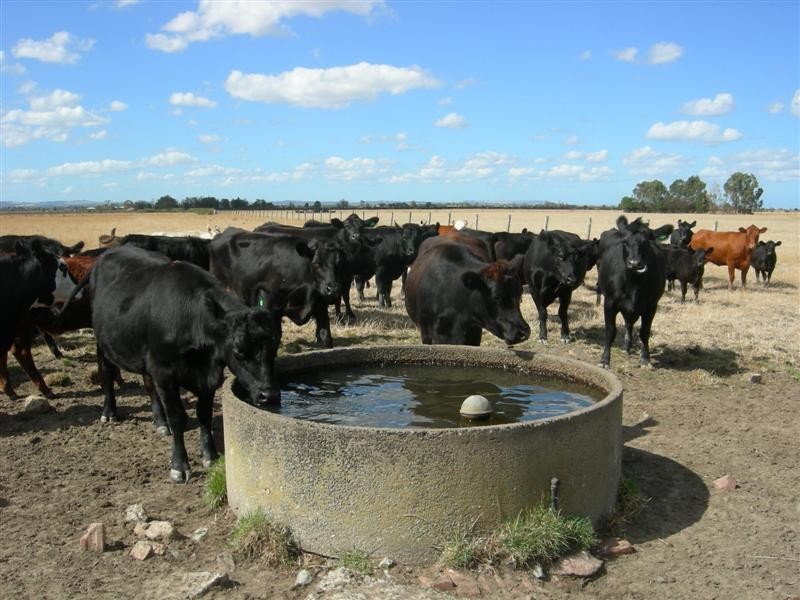 Koo Wee Rup VIC 3981