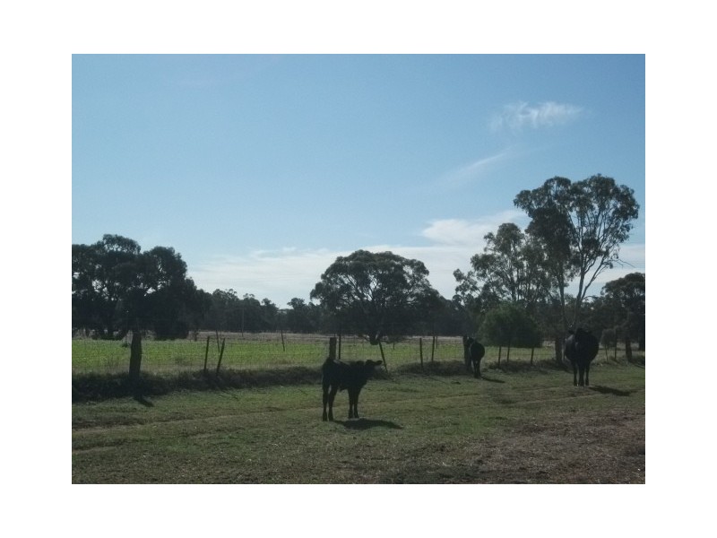 2 Gonn Road, Barham NSW 2732