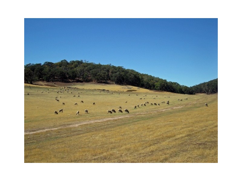 Strathbogie VIC 3666