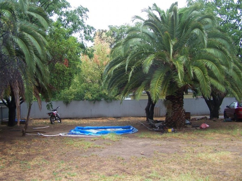 352 Murray, Hay NSW 2711