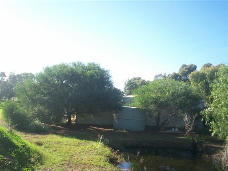 Berrigan NSW 2712