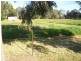 Berrigan NSW 2712