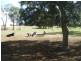 Echuca VIC 3564
