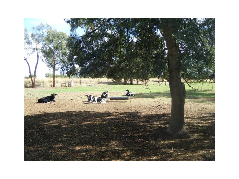 Echuca VIC 3564
